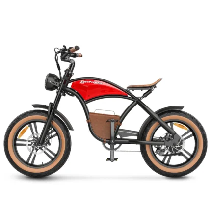 hidoes b10 20 inch electric bike 1.webp
