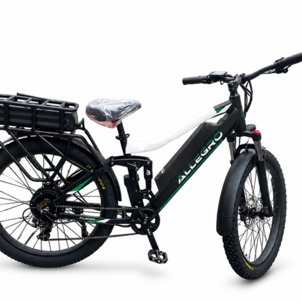 Allegro TDL6131 Long Range Ebike