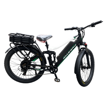 Allegro TDL6131 Long Range Ebike