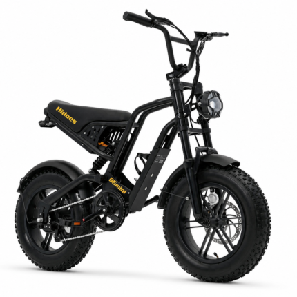 Hidoes B6 Mini Electric Bike 750W Fat Tyre E-Bike | 48V Battery | UK Road-Ready