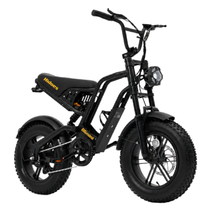Hidoes B6 Mini Electric Bike 750W Fat Tyre E-Bike | 48V Battery | UK Road-Ready